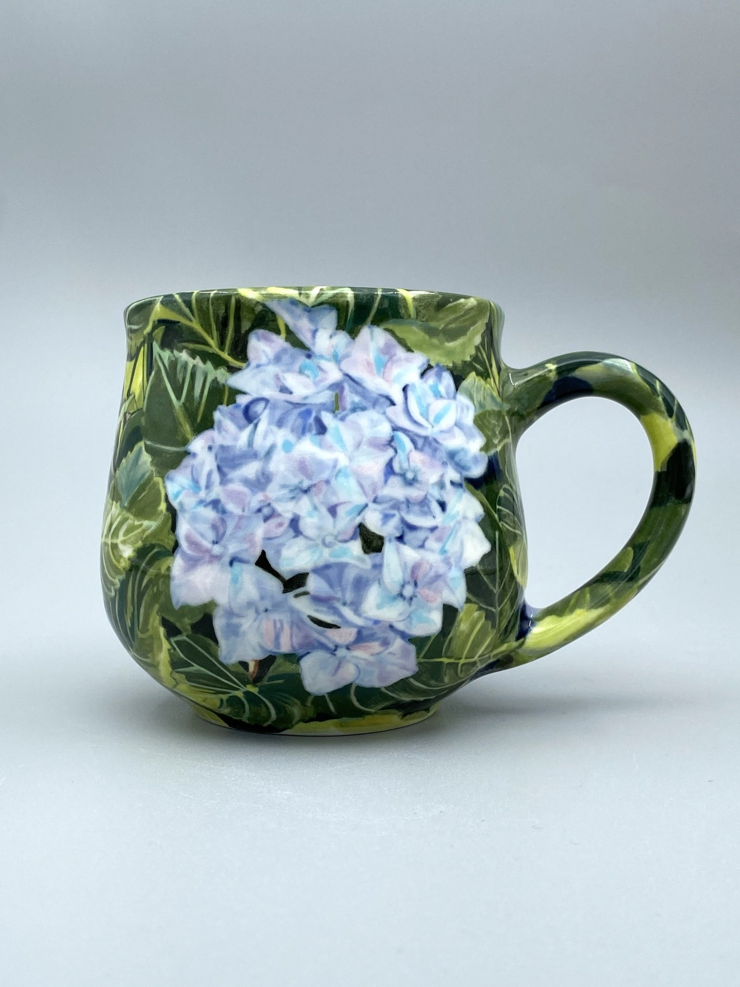 Hydrangea