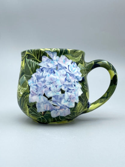 Hydrangea