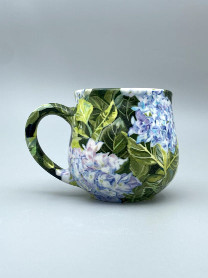 Hydrangea