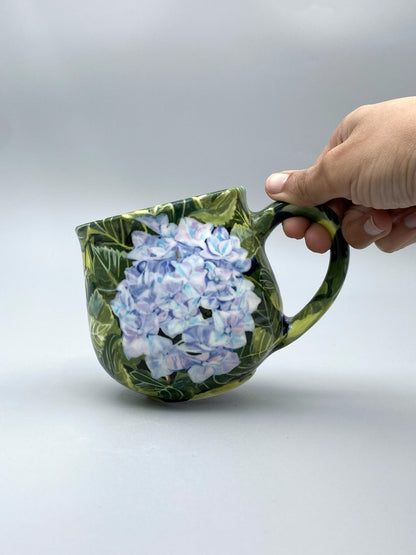 Hydrangea